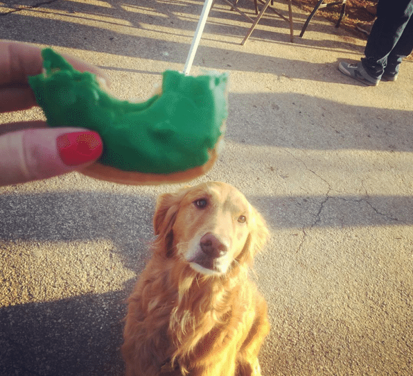 Photo Finish: Donuts And Dogs