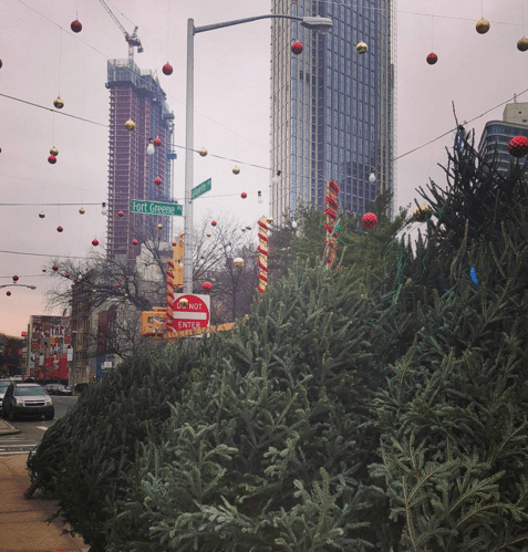 Five Places To Buy A Sidewalk Christmas Tree In Fort Greene And Clinton Hill