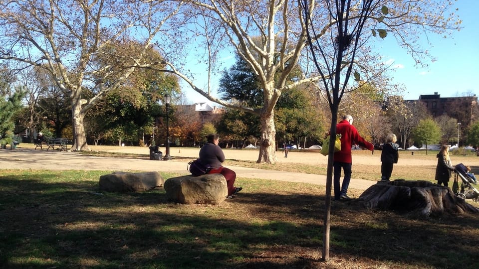 Fort Greene Park Boulders, Adopt A Garden Bed, And An Upcoming Brooklyn-Wide Parks Meeting