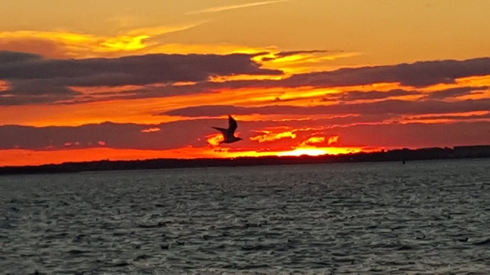 Morning Mug: “How Blessings Brighten As They Take Their Flight.” — Edward Young