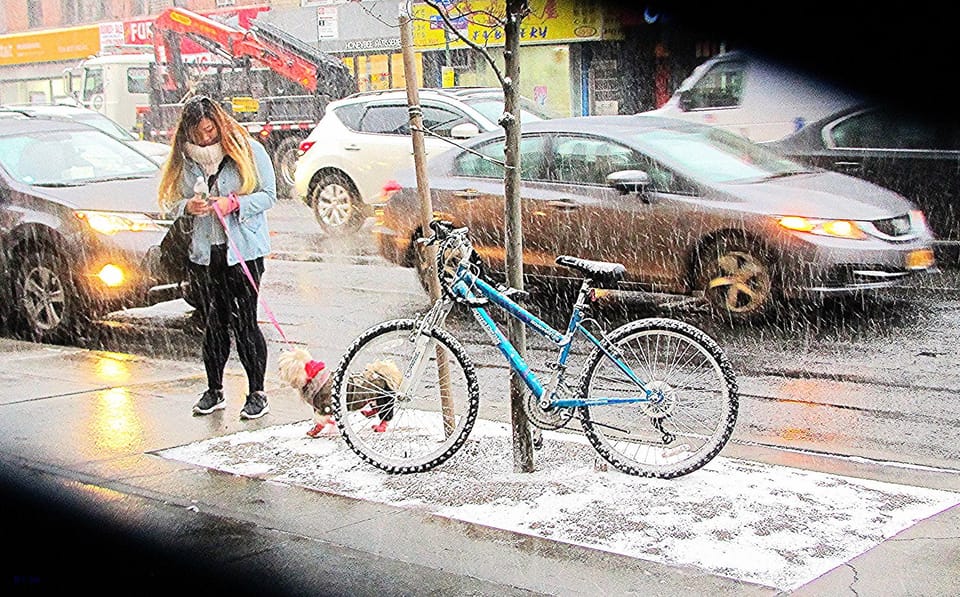 Photo Of The Day: First Flakes