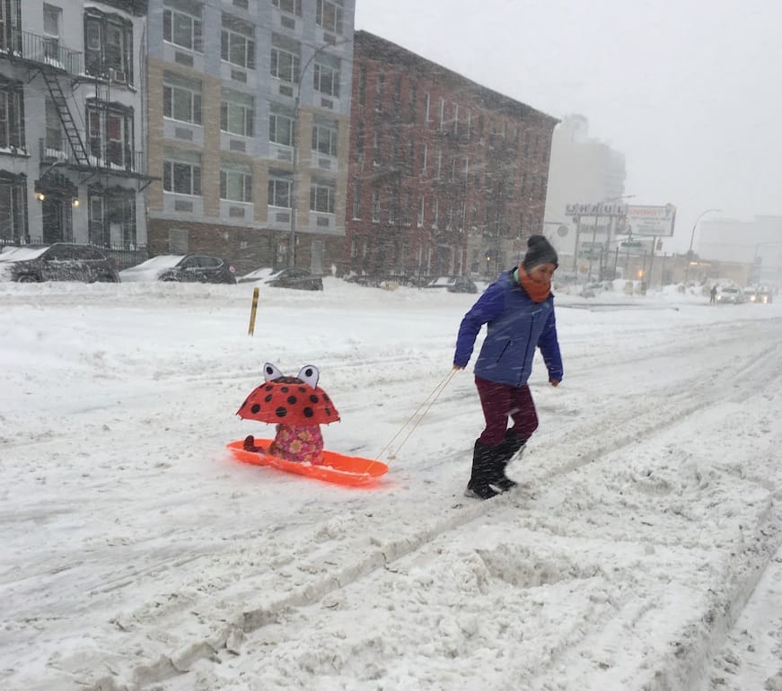 Photos From The Weekend: Special Park Slope January 2016 Blizzard Edition