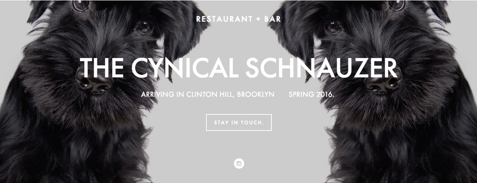 Coming Soon: The Cynical Schnauzer, A Restaurant And Bar