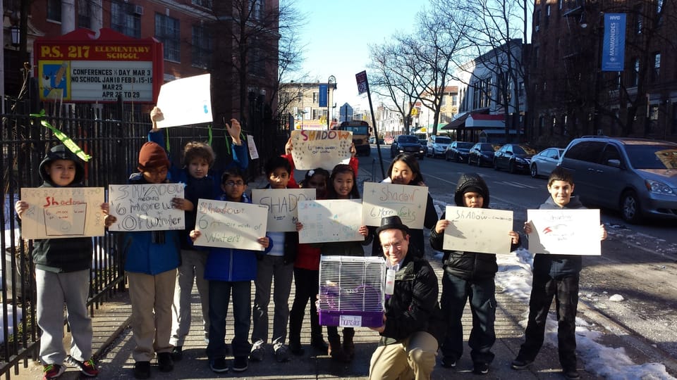 Six More Weeks of Winter In Ditmas, Declares P.S. 217 GroundHAMSTER