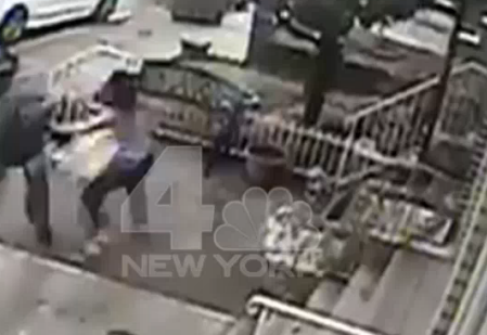 Dyker Heights Woman & Pitbull Brawl With Mailman [Video]