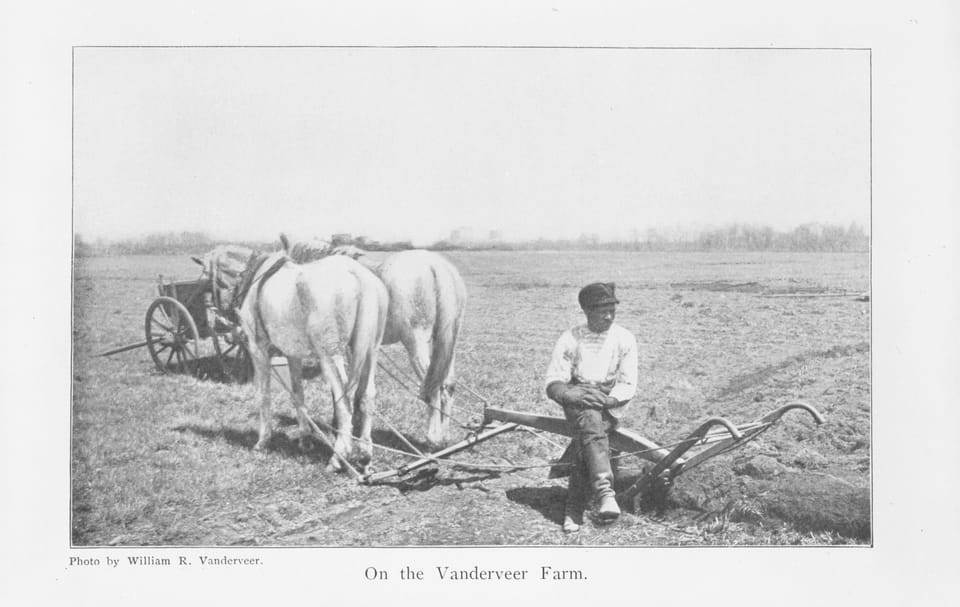 The Farms Of Flatbush