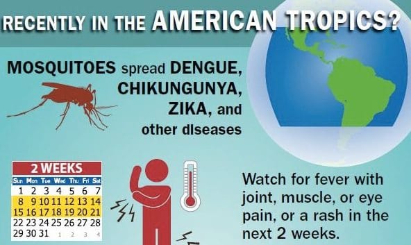 Now That Zika Virus Has Arrived In NYC, Here’s What You Need To Know