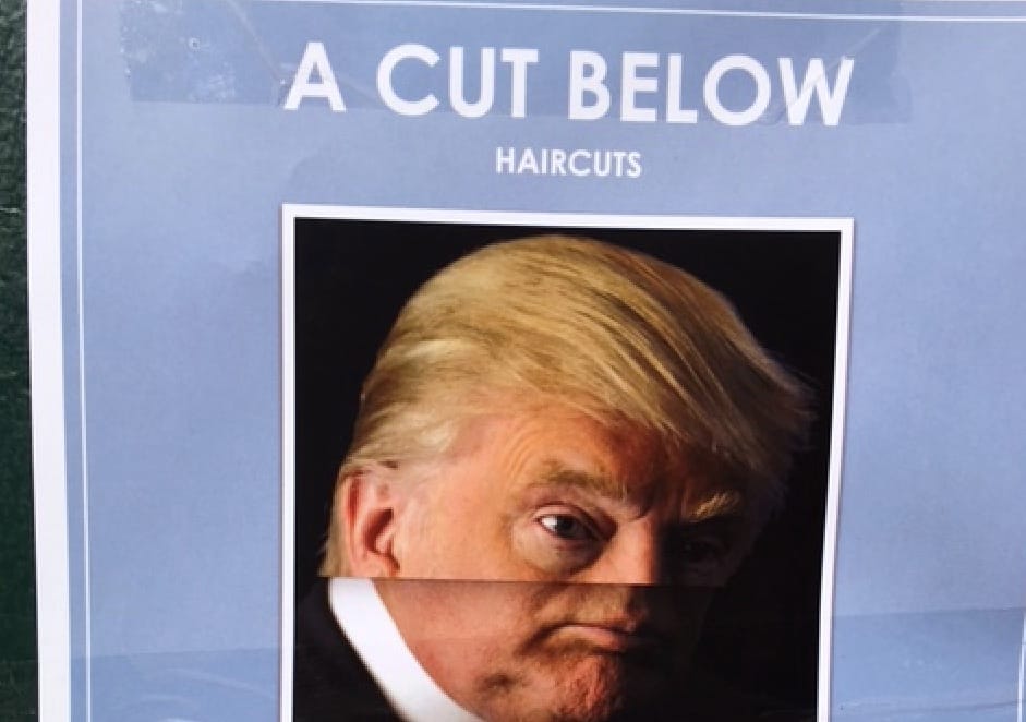 Photo Of The Day: A Cut Below