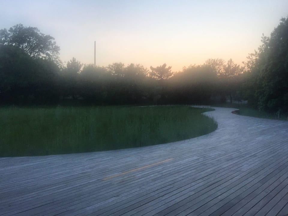 The Naval Cemetery Landscape Creates A New Public Space At The Navy Yard