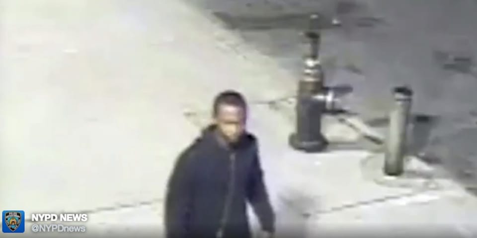 Police Release Video Of Suspect In Attempted Rape Of Female Jogger In Prospect Park