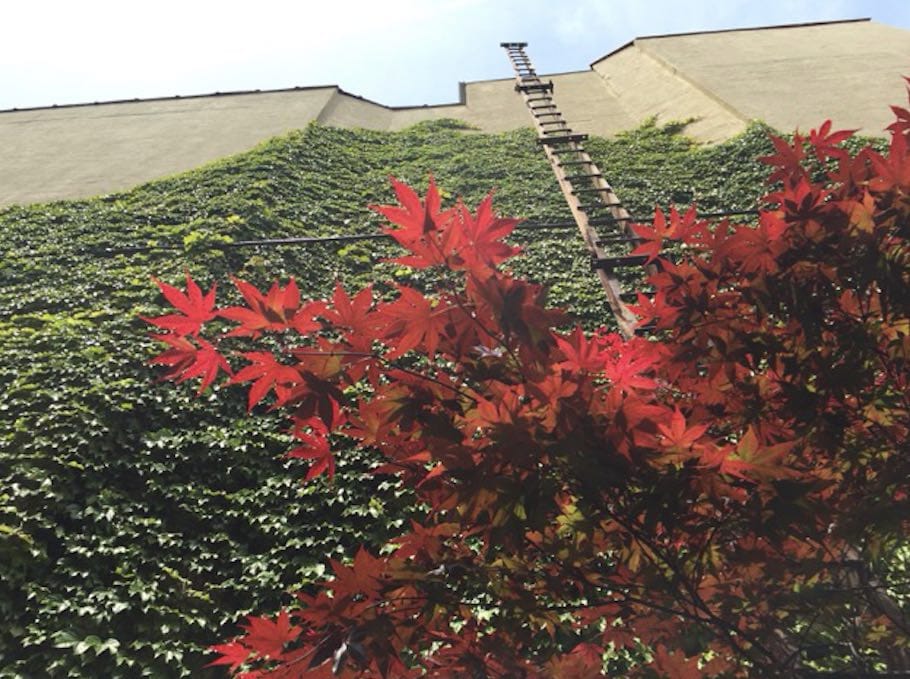 Mystery Photo Of The Day: Ladder To The Sky