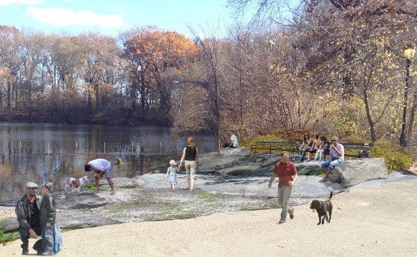 Prospect Park Pups To Make A Safer Splash