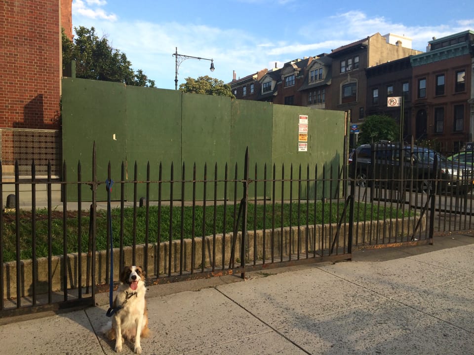 Park Slope Library Gets A New Garden And Furry Friend