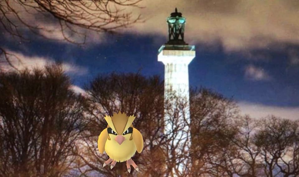 Late-Night Pokémon Go ‘Gym Workout’ In Fort Greene Park Lands Neighbor A Ticket