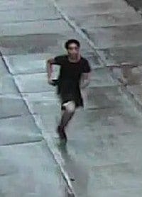 Video: Man Runs Off After Snatching Woman’s Wallet In Fort Greene, Police Say