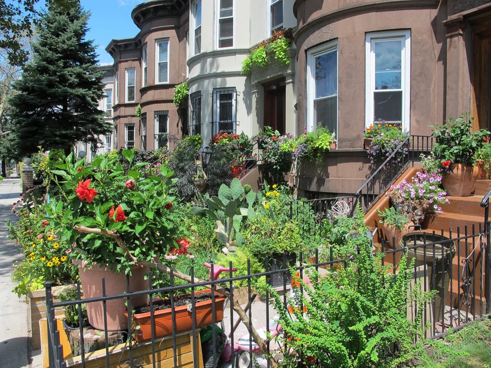 Flatbush Brings Home The Gold For Greenest Block In Brooklyn