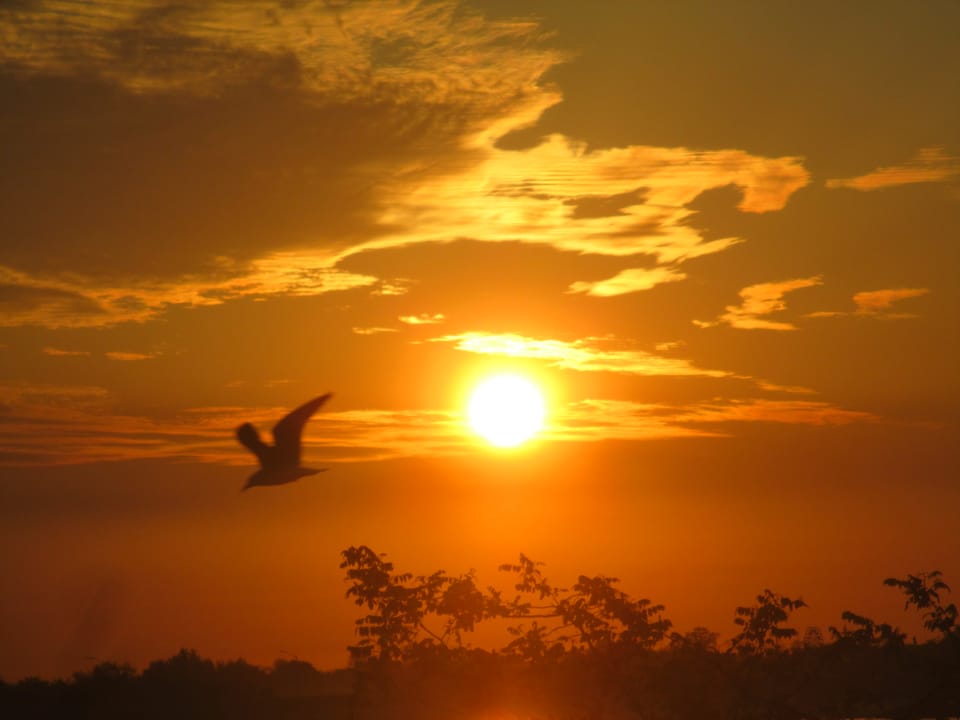 Morning Mug: “Flying Is Learning How To Throw Yourself At The Ground And Miss.” — Douglas Adams