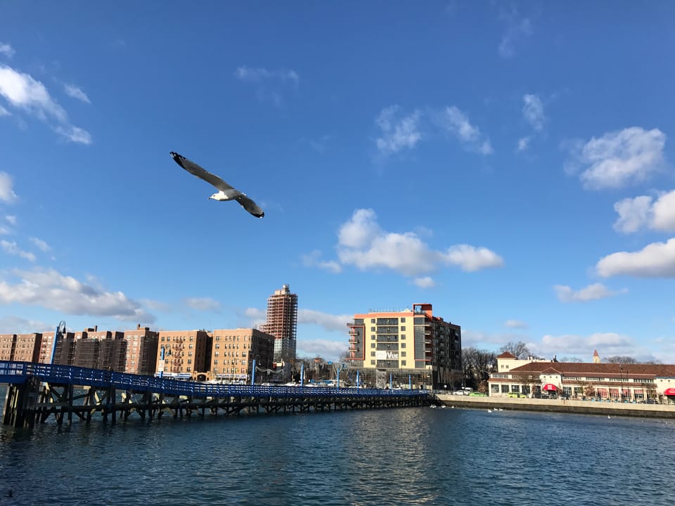 Morning Mug: “I Have Often Said That The Lure Of Flying Is The Lure Of Beauty.” — Amelia Earhart