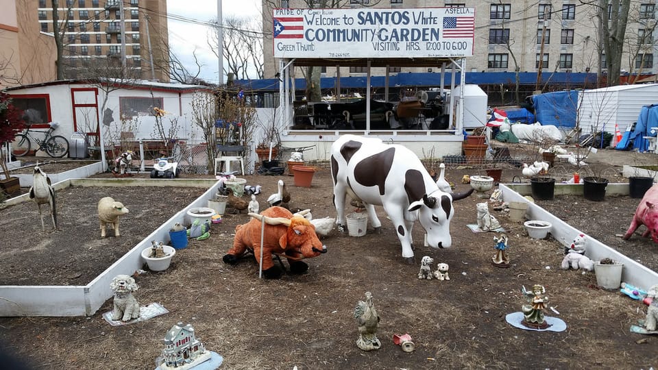 From Sea Gate To The South Bronx: One Man Walks Every Block In NYC