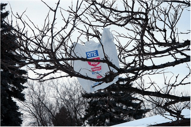 Supporters Of Plastic Bag Fee Fighting Back Against Effort To Reverse It