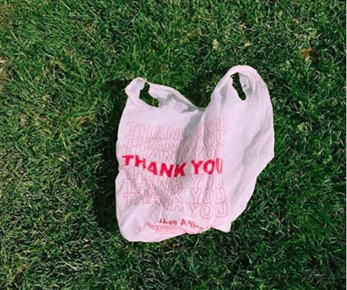 Poll: Should NYC Have A 5 Cent Fee On Plastic Bags?