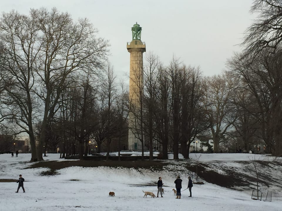 Share Your Design Ideas For Fort Greene Park