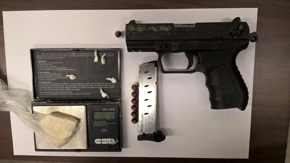 Cops Find Crack, Gun & Wild Lizard In Flatbush Drug Bust