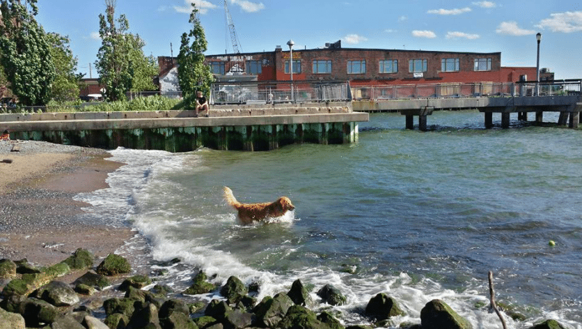 Tesla Showroom Tour And More Events Planned For Saturday By Resilient Red Hook