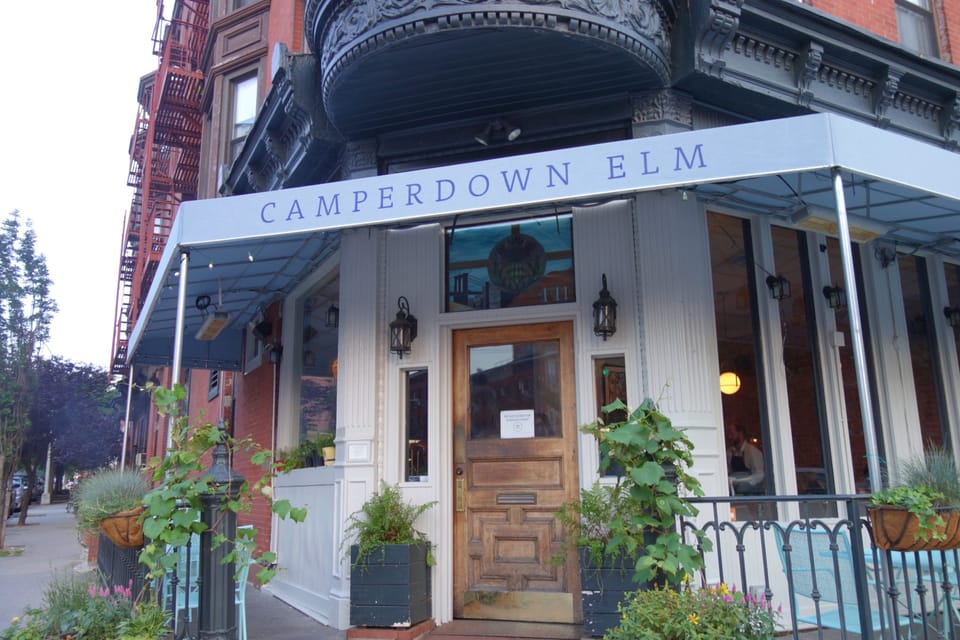 The Wait Is Over: Camperdown Elm Opens Today In South Slope