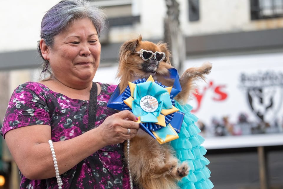 A Paw-sitively Great Time At Freddy’s 4th Annual Doggy Fashion Show