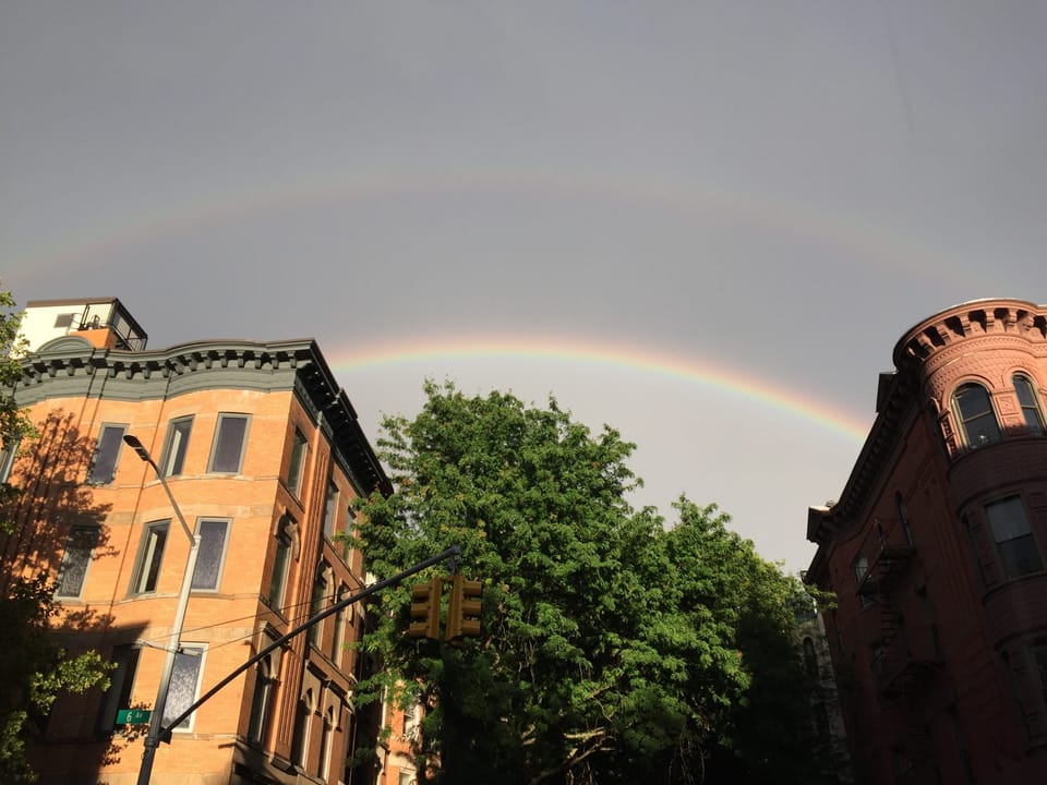 This Week In BKLYNER: Double Rainbows, Toxic Algae & More