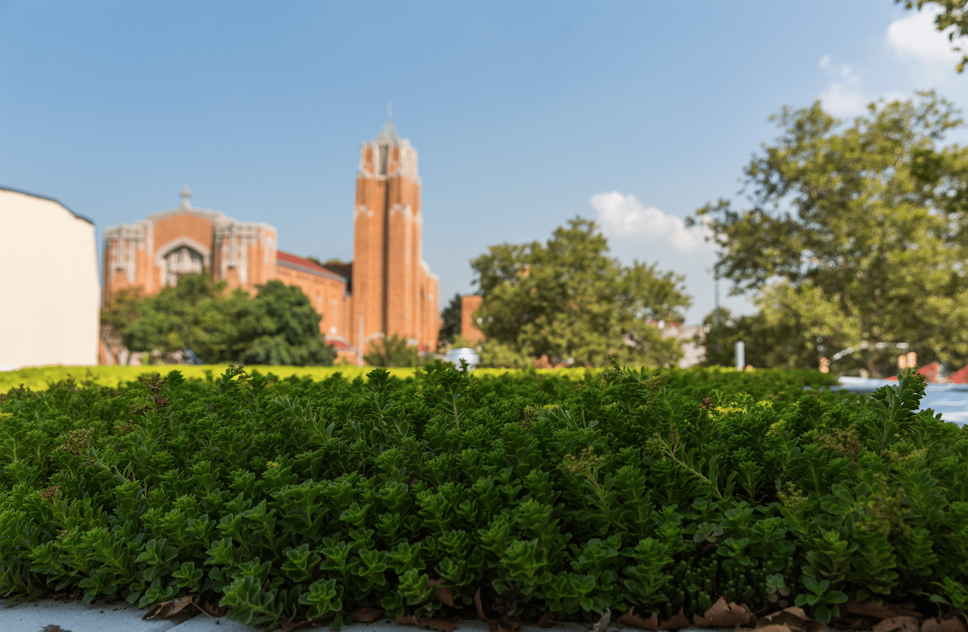 Windsor Terrace Library’s Green Roof Is Complete