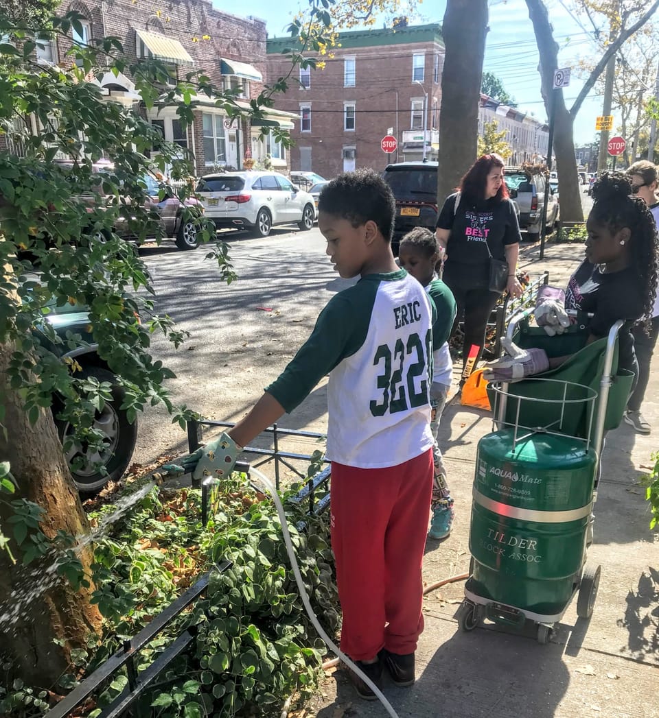 Neighbors Plant Over 1,000 Flower Bulbs In East Flatbush