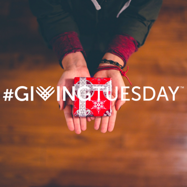 Giving Tuesday: 12 Local Organizations To Support