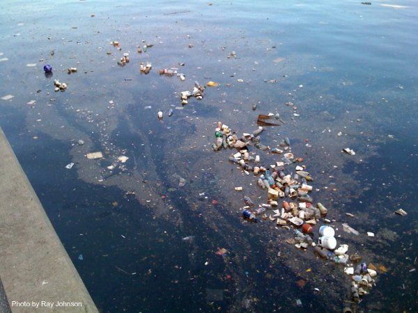 bay-garbage-afloat-2009-600