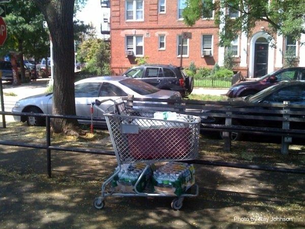 shopping-cart-water-carrier2