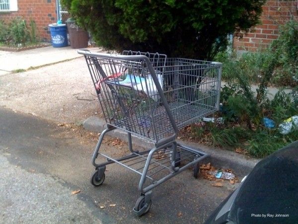 shopping cart finds parking 2009