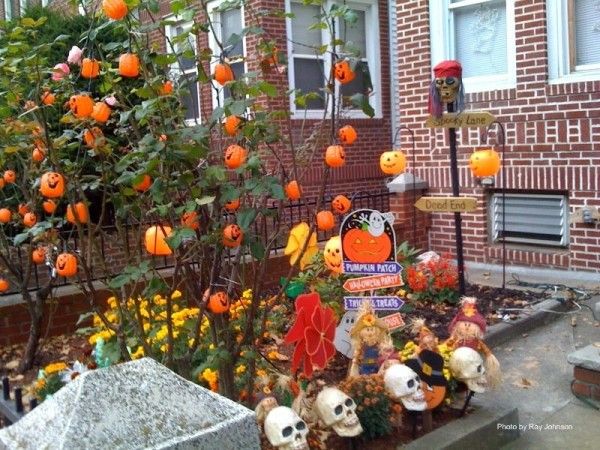 halloween decor ocean ave front yard skulls