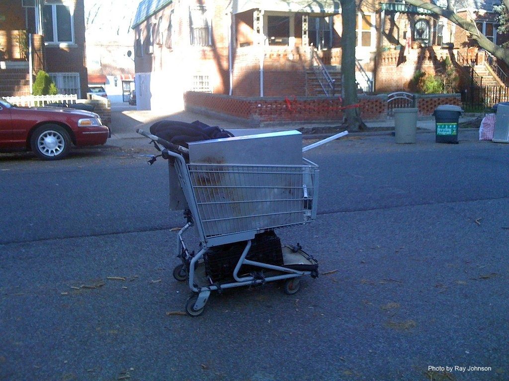 Shopping Cart Series Scrap Metal Foraging Bklyner