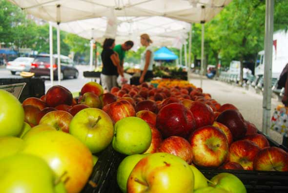 Coney Island Hospital’s Farmers Market Kicks Off Season – Fresh, Local Foods Available Every Wednesday And Friday!