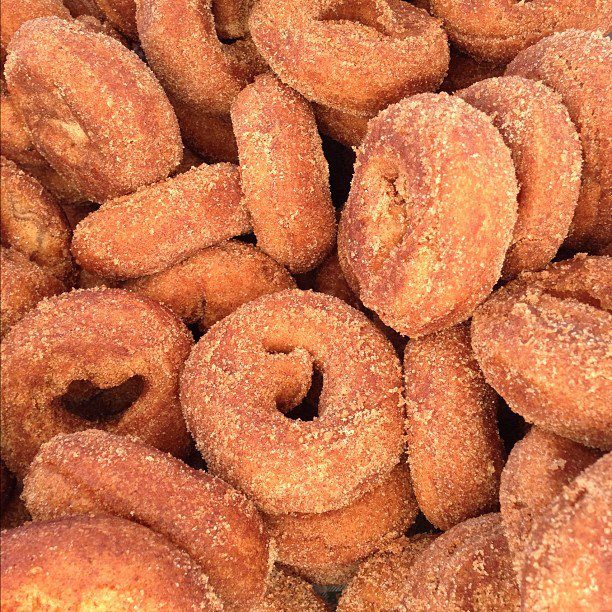 Cider Donuts at the Grand Army Plaza Greenmarket