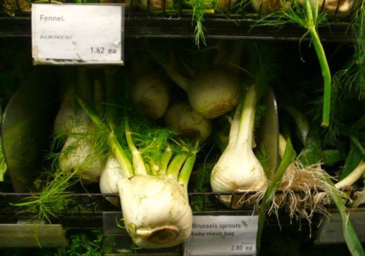 This Week at the Coop: Fennel