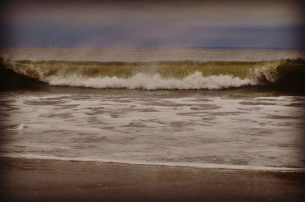 Sandy on Coney