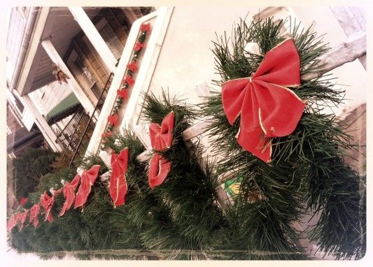 Bows and greenery for Christmas