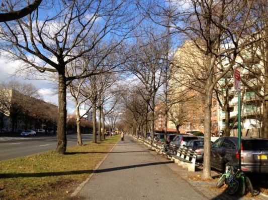 Ocean Parkway Malls in fall