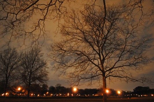 prospect park at night