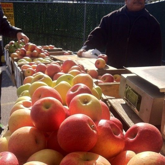 Apples, by bkgreenmarkets on Instagram