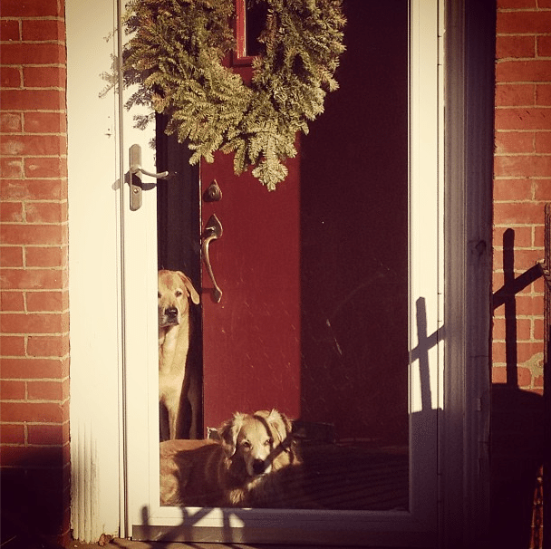 Photo of the Day: Waiting for Santa?