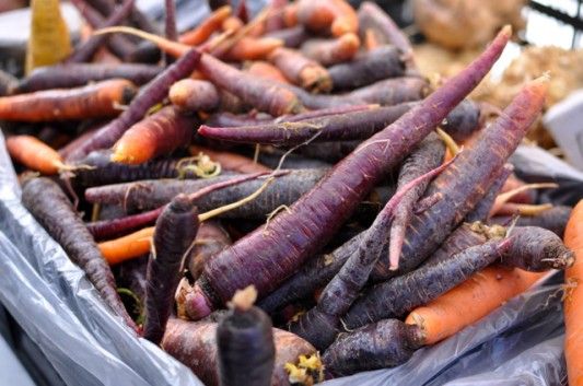 Purple Carrots at the Cortelyou Greenmarket