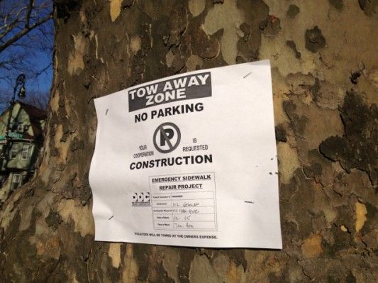 Sign Stapled to Tree at Ditmas